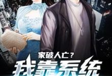 在线搜索许良的完整小说,免费阅读家破人亡?我靠系统儿孙满堂-个性文学