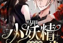 马甲小妖精带着系统玩转全球简玖傅时小说大结局免费试读-个性文学