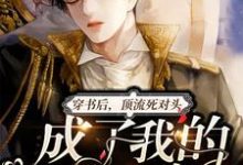 小说《穿书后，顶流死对头成了我的老婆粉》在线章节阅读-个性文学