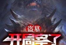 盗墓：开局宰了怒晴鸡小说，盗墓：开局宰了怒晴鸡最新章节-个性文学