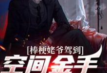 棒梗姥爷驾到，空间金手指开启！张大标秦淮茹小说在线章节目录阅读最新章节-个性文学