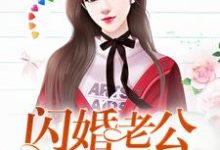 求闪婚老公，宠上天小说的全文免费阅读链接-个性文学