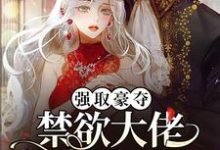 强取豪夺:禁欲大佬独宠我一人小说有没有完结版在线?-个性文学