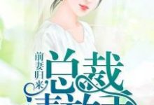 前妻归来：总裁，请放手小说最新更新在哪里？免费在线看-个性文学