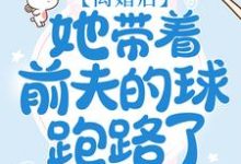 离婚后，她带着前夫的球跑路了这本小说完结了吗？免费查看最新章节-个性文学