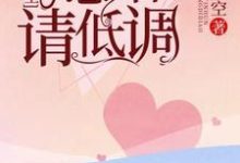 陆先生，隐婚请低调小说有没有完结版在线？-个性文学