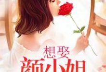 在线寻找想娶颜小姐为妻小说的无删减版本-个性文学