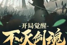 开局觉醒不灭剑魂小说完结版章节免费阅读-个性文学