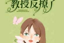 在线寻找暗恋无果后，她被清冷教授反撩了小说的无删减版本-个性文学