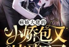 纪凌宸冷晔冷烨海城为主角的小说叫什么？免费看病娇大佬的小娇包又掉马甲了-个性文学