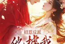 《招惹反派，他掳我花轿洞房》小说章节列表免费试读，屠渊宋清兮小说在线阅读-个性文学