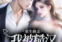 《重生换亲,我被糙汉捧在手心》小说主角高翰宋青黛章节章节免费在线阅读-个性文学