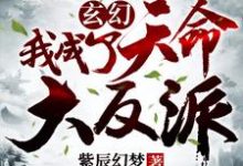 玄幻：我成了天命大反派免费阅读，玄幻：我成了天命大反派章节目录-个性文学