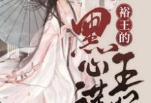 已完结小说《嫡女重生：裕王的黑心莲王妃》章节在线阅读-个性文学