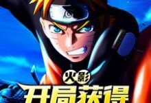 火影：开局获得百亿历练值免费阅读，火影：开局获得百亿历练值东山清-个性文学