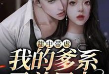 男女主人公凌野傅泊丞小说甜中带虐：我的爹系霸总男友章节免费阅读-个性文学