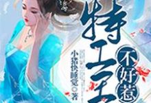 小说《特工王妃不好惹》章节阅读-个性文学