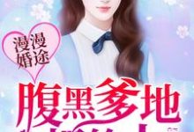 主人公叫许沐恩秦桦的小说漫漫婚途：腹黑爹地很给力在线阅读章节-个性文学