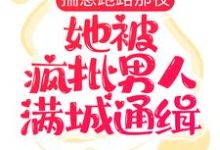 揣崽跑路那夜,她被疯批男人满城通缉小说完结了吗?在哪里可以免费读到?-个性文学