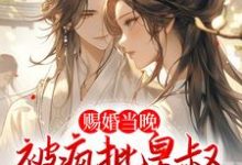 完结版《赐婚当晚，被疯批皇叔强取豪夺》免费阅读-个性文学