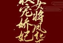 权宠娇妃,女将凤华裴昭萧云祈在线章节免费阅读-个性文学