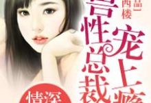 已完结小说《亿万老公宠妻上瘾》章节在线阅读-个性文学