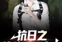 王铁军张飞小说叫什么(抗日之特种兵王出击免费阅读)-个性文学