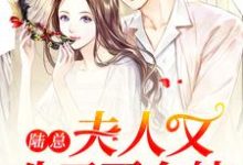 寻找能够免费阅读陆总，夫人又生了两个娃小说的平台-个性文学