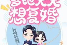 叶揽希赫司尧的完整故事在哪里？读萌宝闹翻天：爹地天天想复婚小说-个性文学