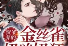 黎姜贺琛的完整故事在哪里？读贺爷养的金丝雀奶凶奶狂小说-个性文学