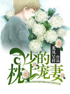 北辰司夏卿卿是哪本书的主角？司少的枕上宠妻免费读