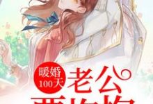 暖婚100天:老公要抱抱小说阅读,暖婚100天:老公要抱抱完结版-个性文学