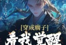 穿成瘸子,看我觉醒逆天属性小说的免费阅读版本在哪里可以找到?-个性文学