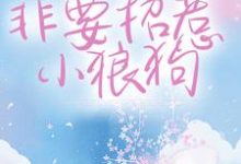 主角宋砚西覃郁小说完结版在线阅读,干什么不好?非要招惹小狼狗免费看-个性文学