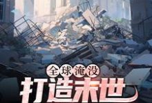 胡幽叶婉秋为主角的小说叫什么？免费看全球淹没：打造末世新体系-个性文学