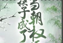 小说《被卖冲喜后，病秧子成了当朝权臣》章节阅读-个性文学