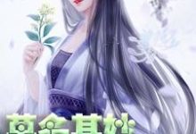 男女主人公叫轩辕琼华君墨宸君墨安轩辕如卫的小说免费资源-个性文学