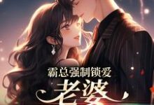 霸总强制锁爱:老婆,连生三胎嘛小说有没有完结版在线?-个性文学