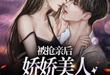 求推荐可以免费阅读被抢亲后,娇娇美人嫁大杂院躺赢小说的网站-个性文学