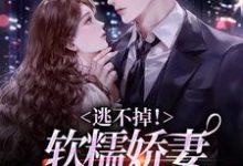 梨岁岁楚焱的故事在哪本书里?免费阅读逃不掉!软糯娇妻红着眼尾被亲哭-个性文学