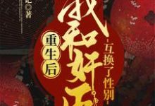重生后，我和奸臣互换了性别小说最新章节在哪里可以读到？-个性文学