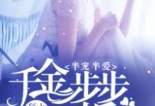 半宠半爱：千金步步惊婚小说的无弹窗阅读体验，寻找免费阅读网站-个性文学