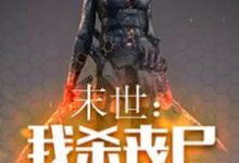 哪里能找到末世:我杀丧尸爆宝箱小说的全部章节?-个性文学