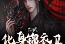 小说《综武:化身锦衣卫,摸尸护国》章节免费阅读-个性文学