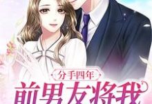 完结版《分手四年,前男友将我堵在墙角》在线免费阅读-个性文学