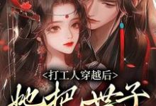 小说《打工人穿越后,她把世子哄明白了》在线章节阅读-个性文学