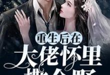 男女主人公叫沈辞墨尘渊的小说免费资源-个性文学