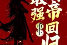 寻找能够免费阅读重生:最强天帝回归小说的平台-个性文学