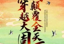 苏晨慕巧巧小说叫什么（穿越大周，我颠覆全天下免费阅读）-个性文学