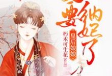 云千凝苏暻萧小说叫什么（皇后娘娘，皇上他又要纳妃了免费阅读）-个性文学